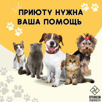 Добро начинается с тебя