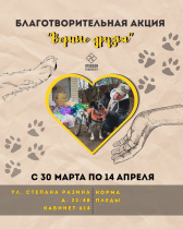 Приюту для животных «Верные друзья» нужна ваша помощь!