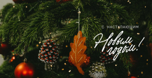 Поздравляем с наступающим Новым годом!