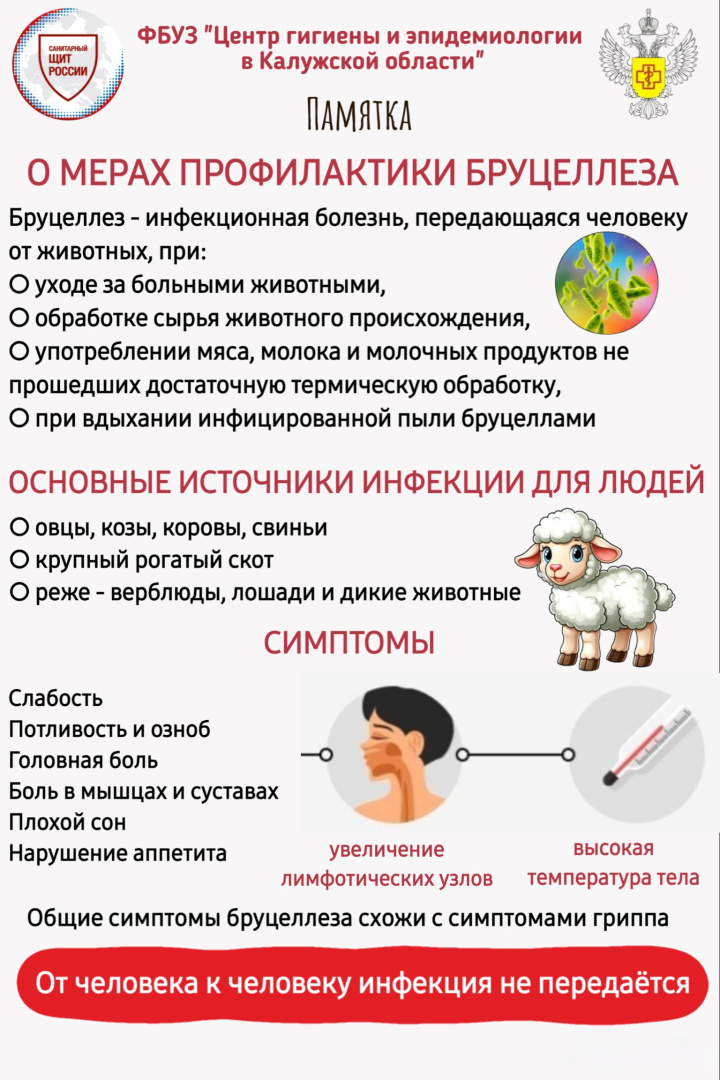 Памятка «О мерах профилактики бруцеллеза» (1).jpeg